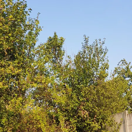 Stará Myjava Apartman