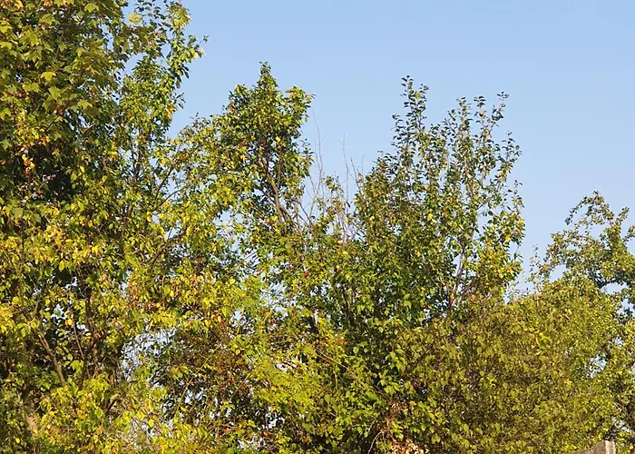 Apartman Stara Myjava Appartement