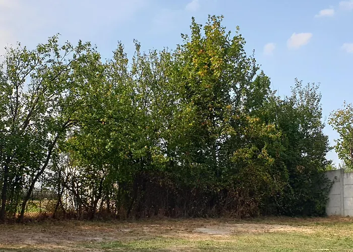 Apartman Stara Myjava דירה